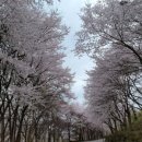 공주 계곡 이레 캠핑장 네이버블로그