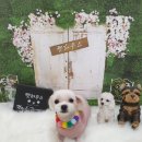 중리동우체국 이미지