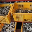 약초마을 이미지