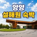 레귤러 | 양양 설해원 숙박, 레귤러 객실 직접 묵어본 후기