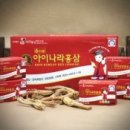 홍인약초사 이미지