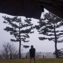 BA비스타CC 이미지