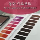 주식회사 이오 | 동탄퍼스널컬러진단, 이오무드에서 찾은 나만의 색 (솔직후기)