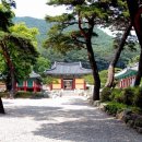 망 미 정 이미지