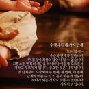 샨띠 이미지