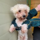 포항시남구17 이미지