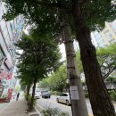인천 구월동 전자담배 전율 돋는 닷모드 투엑스 구매후기