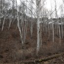 미숭산자연휴양림 이미지