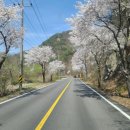 지에스25원주기업캐슬점 이미지