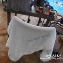 디어올플라워