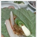 고흥맛집 Daum카페