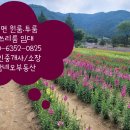 폴라리스공인중개사사무소 | 서면 원룸임대. 서면 투룸임대. 서면 쓰리룸임대. 서면 빌라임대.역세권 임대. 탑네오부동산