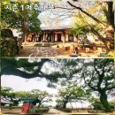 권선2동 주민센터 문화사랑방 | 국가유산 방문의 해 제주 100개의 숨은 보물 스탬프투어 100곳 스팟 모두 인증 후기 드디어 100곳 완성!!