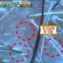 보청기프로 이미지