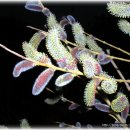 008-교하-008 이미지