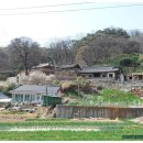 삼랑진로 이미지