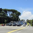 비어드짐(Beard gym) | [20240819 싱가폴] 기상 후 수영장 + 체크아웃 + 펭귄 우동 점심