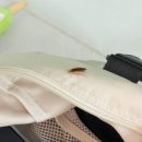 라라 펜션 이미지