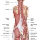 근모닝 헬스 이미지