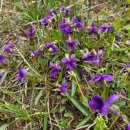 양지부동산중개 이미지