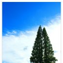 황남초등학교 이미지