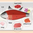 엘지전자(주) 강릉서비스센터 | 강릉 참치 오마카세ㅣ해루참치