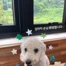 오월쉼표 이미지