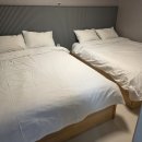 오션테라 | 경남 거제시 거제도 애견 동반 가능 오션뷰 펜션 오션테라 숙박 후기