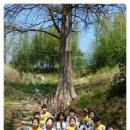 금낭화유치원 이미지