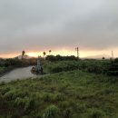 산들애풀하우스 이미지