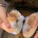 진주비디오 이미지