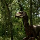 척주농장 이미지