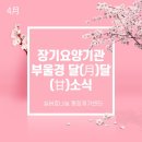 나눔재가장기요양기관 | [실버효나눔통합재가센터]4월 부울경 달(月)달(甘)소식