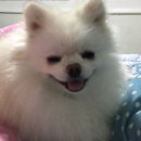 오늘도너는예쁘다 이미지
