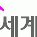 SG세계물산