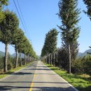 팔각산의 가을 이미지