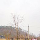 달무리수변공원B 이미지