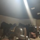 리얼야구존 안동옥동점