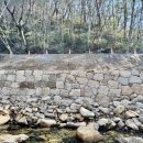 유산청과