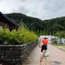 (주)동김천현대서바스 | 김천 사명대사공원 건강문화원 : 한옥숙소 A동 전체 숙박 후기 예약 방법