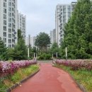 드림모두팜 이미지