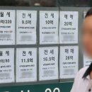 올라공인중개사사무소 이미지