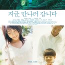 2004청춘돼지