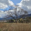 행정사감병기사무소 이미지