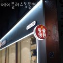 에이플러스 동물병원 | 서대문구 연희동 동물병원 에이플러스동물병원 진료시간 접근성 이용후기