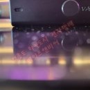 망고비어 이미지