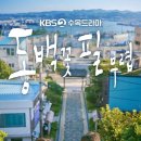 동백꽃필무렵 - 거제시 고현동 | 동백꽃필무렵