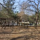 은지초등학교 이미지