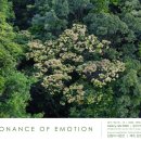 공명(共鳴) 이미지