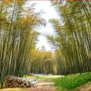 연암공업대학교 입구 이미지